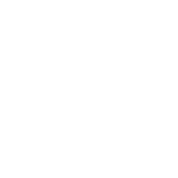 Focusreel Logo White
